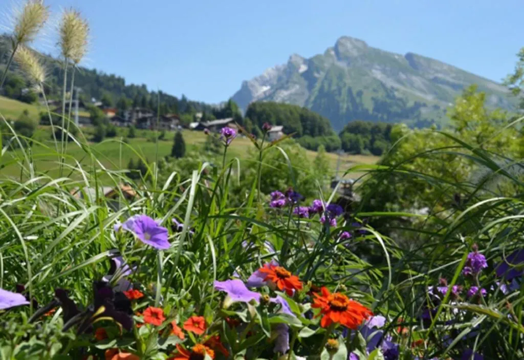Hotel Chalet-Hôtel du Borderan La Clusaz