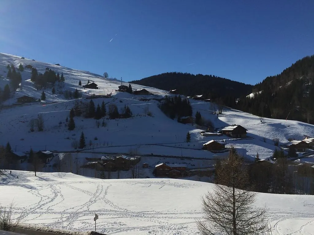 Chalet-Hotel Du Borderan La Clusaz 3*,